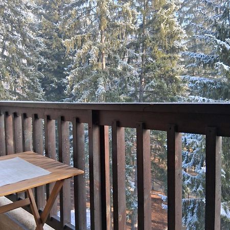 Bendida Park Apartment Velingrad Luaran gambar